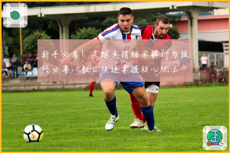 新手必看！足球竞猜赔率解析与技巧分享，教你快速掌握核心玩法