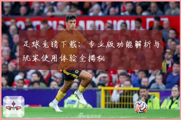 足球竞猜下载：专业版功能解析与玩家使用体验全揭秘